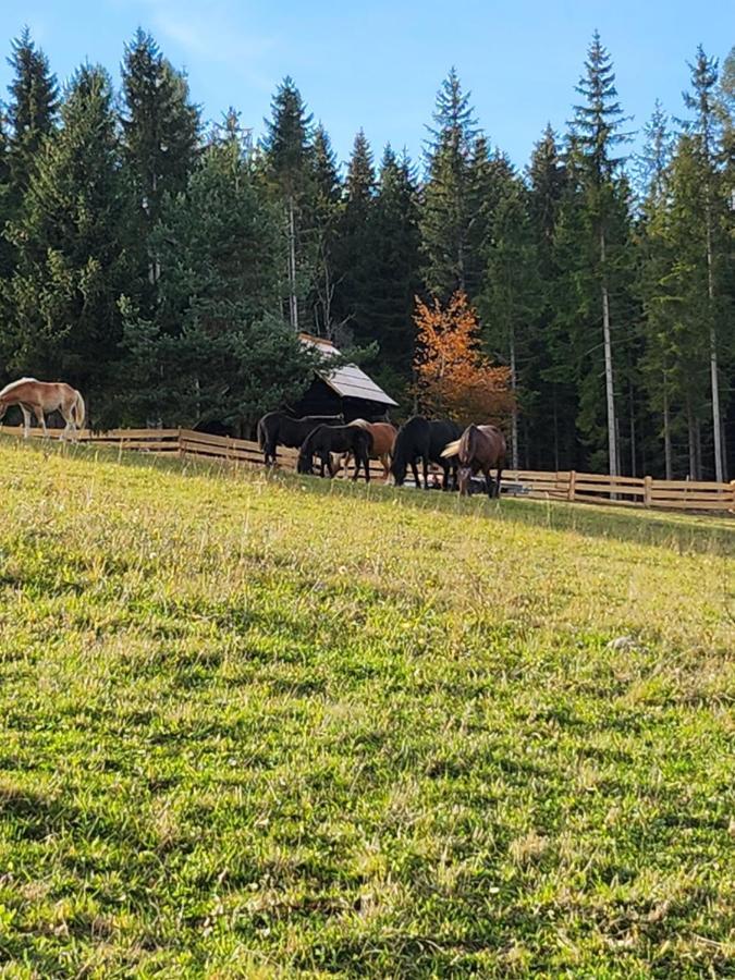 Urige Waldbienenhuette Apartman Diex Kültér fotó